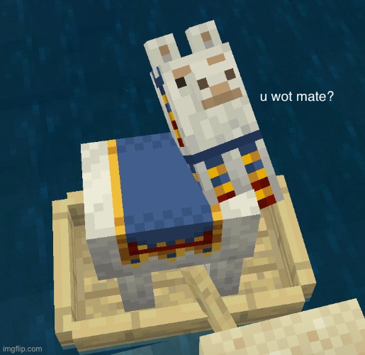 u wot mate? | image tagged in u wot mate | made w/ Imgflip meme maker