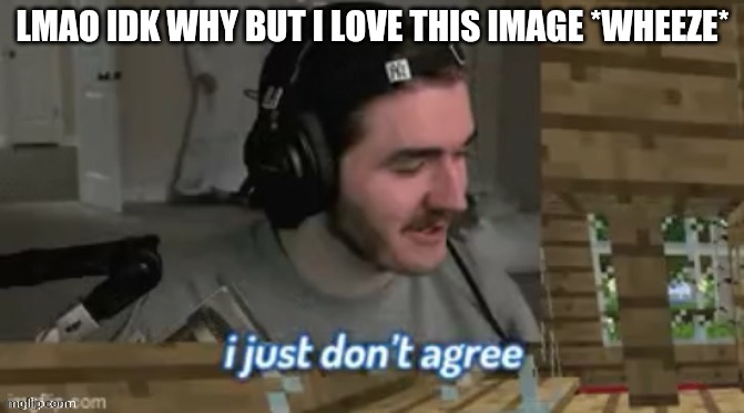 The context for this is just so funny tho | LMAO IDK WHY BUT I LOVE THIS IMAGE *WHEEZE* | image tagged in i just don't agree | made w/ Imgflip meme maker
