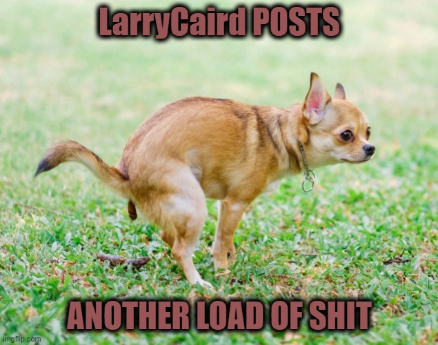 LarryCaird POSTS ANOTHER LOAD OF SHIT | made w/ Imgflip meme maker