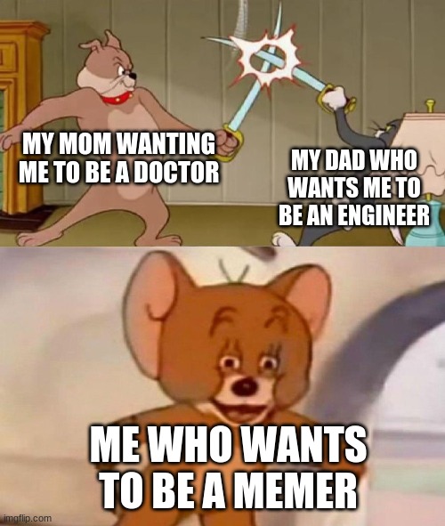 Tom and Jerry swordfight | MY MOM WANTING ME TO BE A DOCTOR; MY DAD WHO WANTS ME TO BE AN ENGINEER; ME WHO WANTS TO BE A MEMER | image tagged in tom and jerry swordfight | made w/ Imgflip meme maker