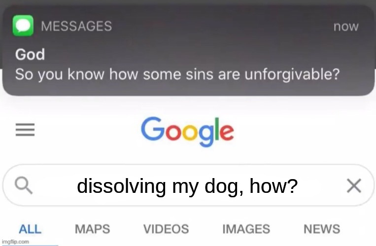 lol | dissolving my dog, how? | image tagged in god text message | made w/ Imgflip meme maker