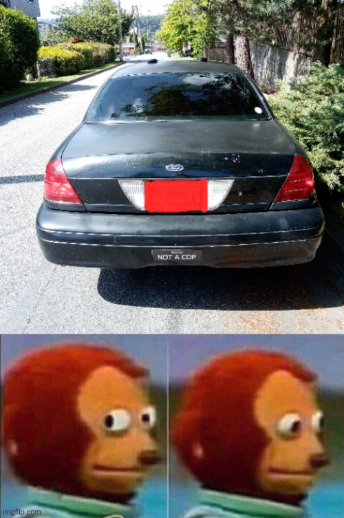 Nice Sticker | image tagged in monkey looking away,undercover,ghost car,police car,funny memes | made w/ Imgflip meme maker