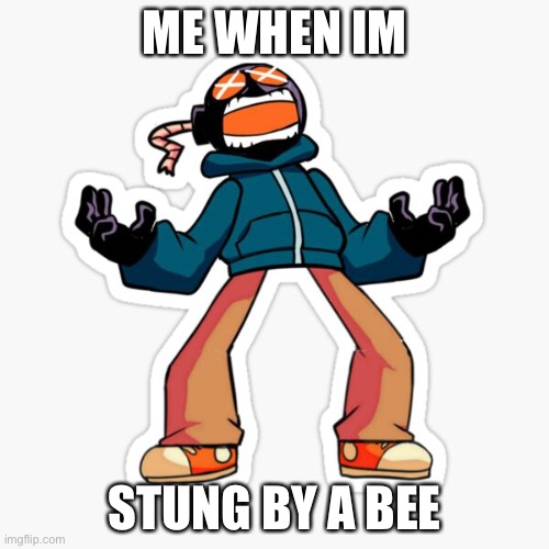 ME WHEN IM; STUNG BY A BEE | image tagged in mad whitty | made w/ Imgflip meme maker