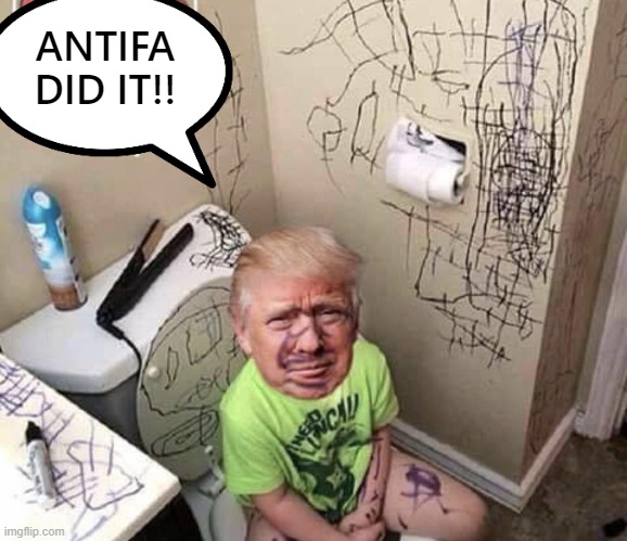 Toddler Trump in Trouble Again | ANTIFA DID IT!! | image tagged in antifa,trump,angry toddler,toddler,sore loser,loser | made w/ Imgflip meme maker