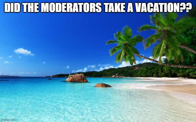 tropical island birthday | DID THE MODERATORS TAKE A VACATION?? | image tagged in tropical island birthday | made w/ Imgflip meme maker