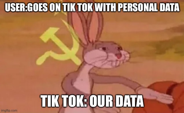 tik tok | USER:GOES ON TIK TOK WITH PERSONAL DATA; TIK TOK: OUR DATA | image tagged in bugs bunny communist | made w/ Imgflip meme maker