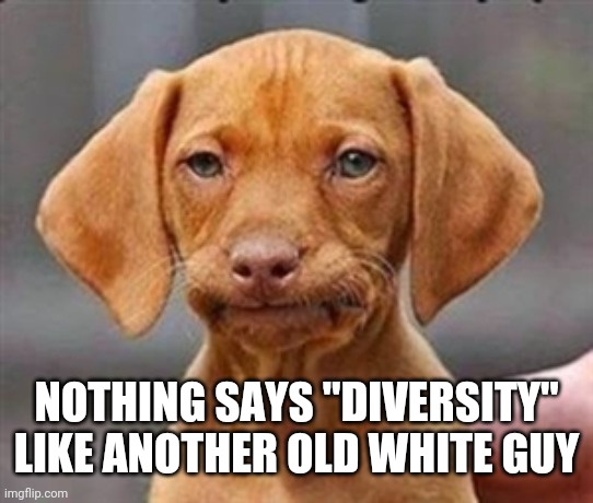 Frustrated dog | NOTHING SAYS "DIVERSITY" LIKE ANOTHER OLD WHITE GUY | image tagged in frustrated dog | made w/ Imgflip meme maker