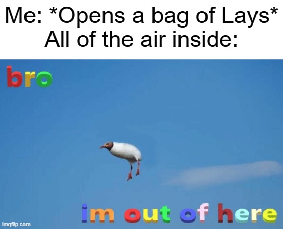 Tru | Me: *Opens a bag of Lays*
All of the air inside: | image tagged in bro im out of here | made w/ Imgflip meme maker