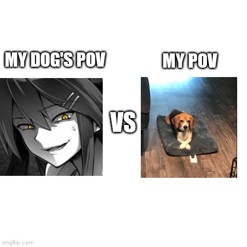 True doe | MY DOG'S POV; MY POV; VS | image tagged in dogs pov | made w/ Imgflip meme maker