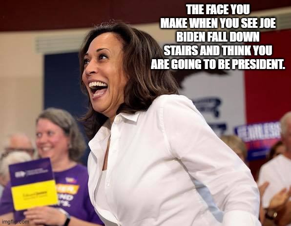 Camela is getting excited | THE FACE YOU MAKE WHEN YOU SEE JOE BIDEN FALL DOWN STAIRS AND THINK YOU ARE GOING TO BE PRESIDENT. | image tagged in joe biden,stupid liberals,funny memes,politics lol | made w/ Imgflip meme maker