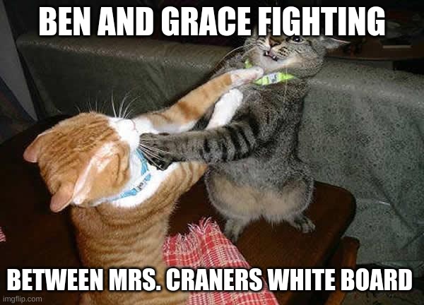 Two cats fighting for real |  BEN AND GRACE FIGHTING; BETWEEN MRS. CRANERS WHITE BOARD | image tagged in two cats fighting for real | made w/ Imgflip meme maker
