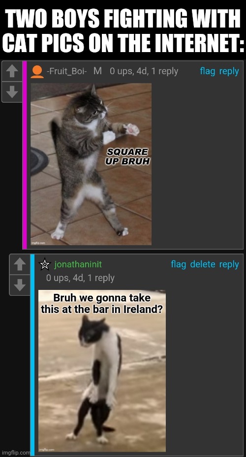 Let's see if 2 comments is good enough for a front page worthy meme | TWO BOYS FIGHTING WITH CAT PICS ON THE INTERNET: | image tagged in memes,fun,comments,cats | made w/ Imgflip meme maker