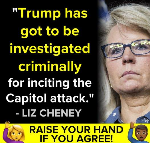 Liz Cheney Trump investigated Blank Meme Template