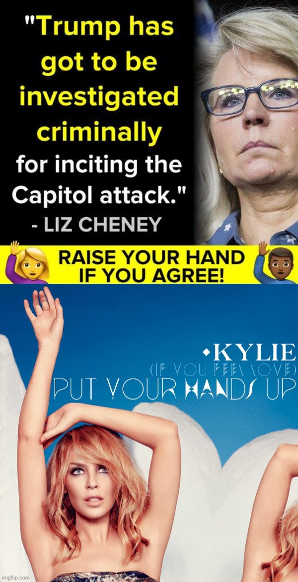 eyyy we agree with Republicans when we can! | image tagged in liz cheney trump investigated,kylie put your hands up if you feel love | made w/ Imgflip meme maker