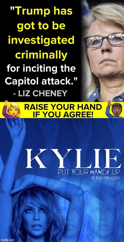 eyyy we agree with Republicans when we can! | image tagged in liz cheney trump investigated,kylie put your hands up if you feel love,trump is an asshole,trump is a moron,hands up,trump sucks | made w/ Imgflip meme maker