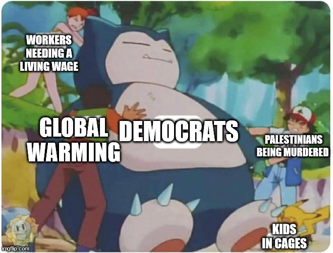 WORKERS NEEDING A LIVING WAGE; GLOBAL WARMING; DEMOCRATS; PALESTINIANS BEING MURDERED; KIDS IN CAGES | image tagged in snorlax,democrats | made w/ Imgflip meme maker