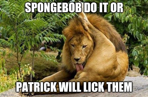 lion licking balls | SPONGEBOB DO IT OR PATRICK WILL LICK THEM | image tagged in lion licking balls | made w/ Imgflip meme maker