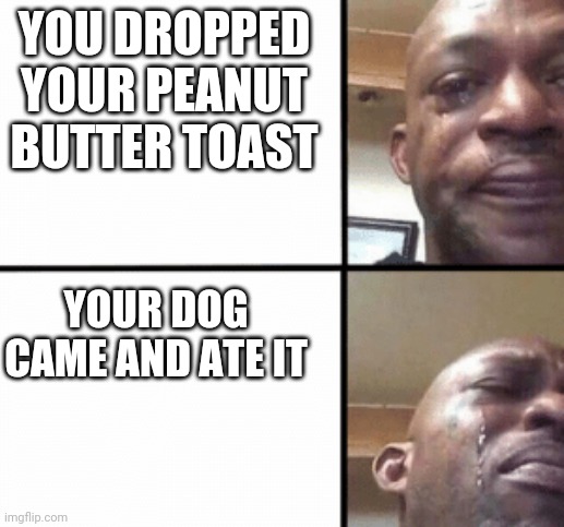 Nuuuu! | YOU DROPPED YOUR PEANUT BUTTER TOAST; YOUR DOG CAME AND ATE IT | image tagged in crying guy/devastated guy | made w/ Imgflip meme maker