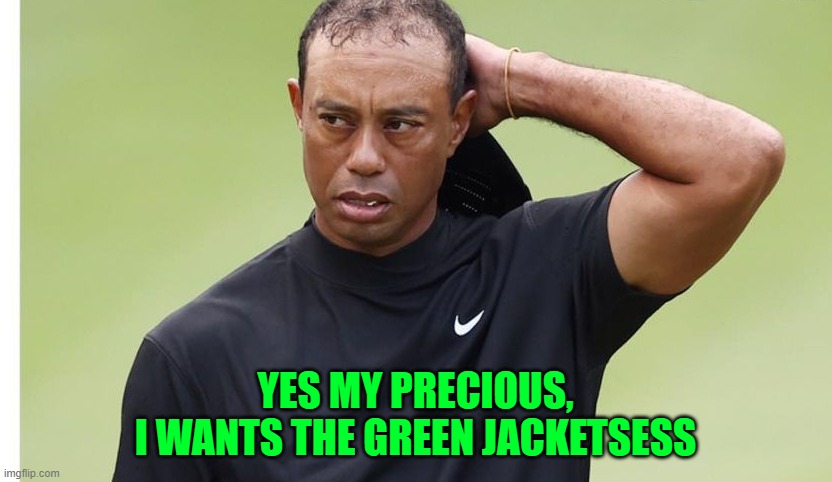 My Precious | YES MY PRECIOUS,   I WANTS THE GREEN JACKETSESS | image tagged in tiger woods,golf,lotr,the masters | made w/ Imgflip meme maker