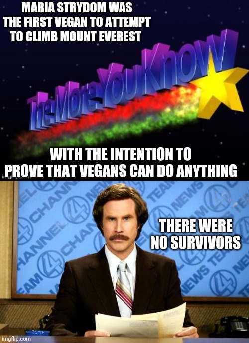 MARIA STRYDOM WAS THE FIRST VEGAN TO ATTEMPT TO CLIMB MOUNT EVEREST; WITH THE INTENTION TO PROVE THAT VEGANS CAN DO ANYTHING; THERE WERE NO SURVIVORS | image tagged in the more you know,breaking news | made w/ Imgflip meme maker