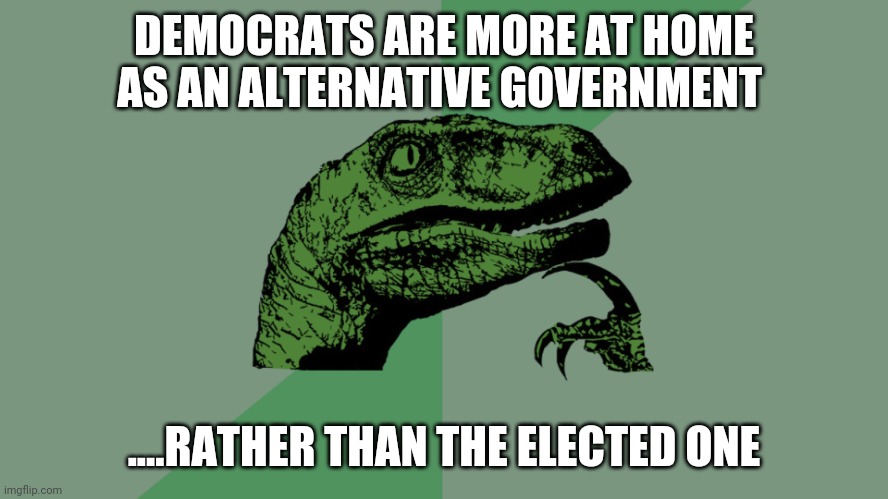 Philosophy Dinosaur | DEMOCRATS ARE MORE AT HOME AS AN ALTERNATIVE GOVERNMENT; ....RATHER THAN THE ELECTED ONE | image tagged in philosophy dinosaur | made w/ Imgflip meme maker