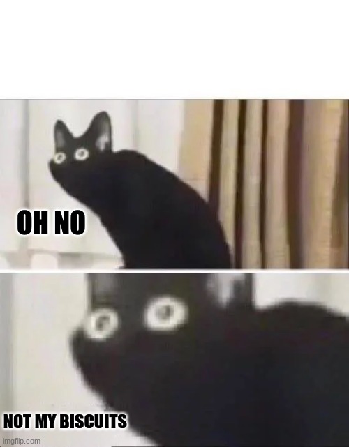 Oh No Black Cat | OH NO NOT MY BISCUITS | image tagged in oh no black cat | made w/ Imgflip meme maker
