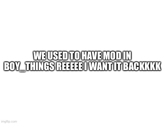 And the e gang- winter has owner is that for sum reason | WE USED TO HAVE MOD IN BOY_THINGS REEEEE I WANT IT BACKKKK | image tagged in blank white template | made w/ Imgflip meme maker