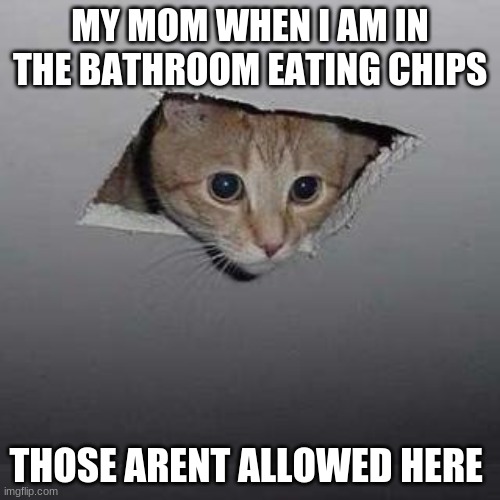 GOSH MOM, IM IN THE BATHROOM | MY MOM WHEN I AM IN THE BATHROOM EATING CHIPS; THOSE ARENT ALLOWED HERE | image tagged in memes,ceiling cat,chips | made w/ Imgflip meme maker
