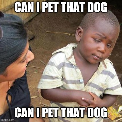 Third World Skeptical Kid Meme | CAN I PET THAT DOG; CAN I PET THAT DOG | image tagged in memes,third world skeptical kid | made w/ Imgflip meme maker