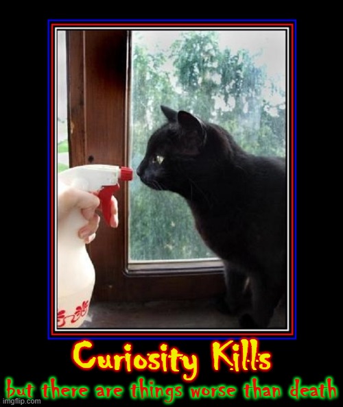 No, thank you! I seek not to be sprayed, spayed or neutered! | Curiosity Kills; but there are things worse than death | image tagged in vince vance,memes,cats,curiosity,killed,cat | made w/ Imgflip meme maker