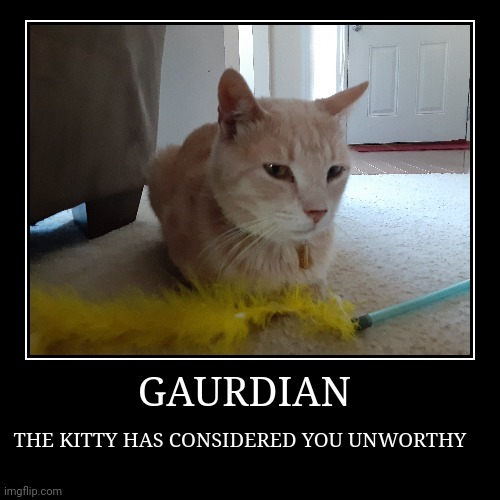 GATE GUARDIAN | GAURDIAN | THE KITTY HAS CONSIDERED YOU UNWORTHY | image tagged in funny,demotivationals | made w/ Imgflip demotivational maker