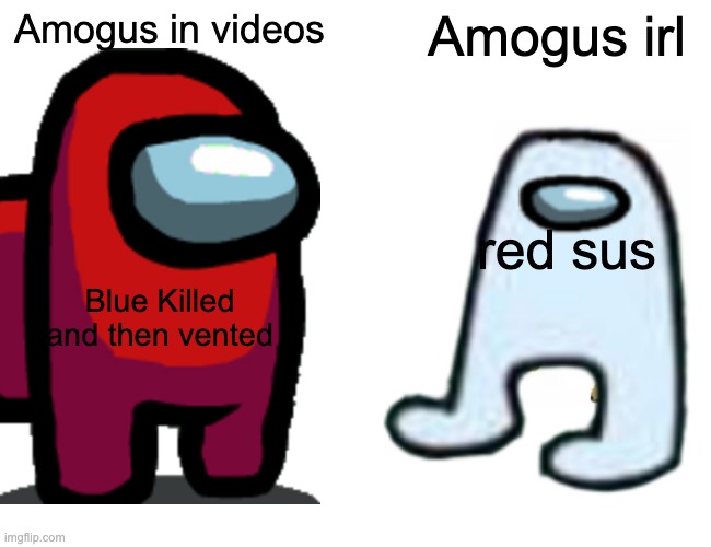 Amogus in videos; Amogus irl; red sus; Blue Killed and then vented | image tagged in amogus | made w/ Imgflip meme maker