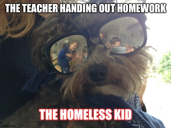 Chill doge | THE TEACHER HANDING OUT HOMEWORK; THE HOMELESS KID | image tagged in chill doge | made w/ Imgflip meme maker
