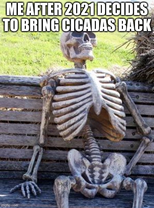 just why | ME AFTER 2021 DECIDES TO BRING CICADAS BACK | image tagged in memes,waiting skeleton | made w/ Imgflip meme maker