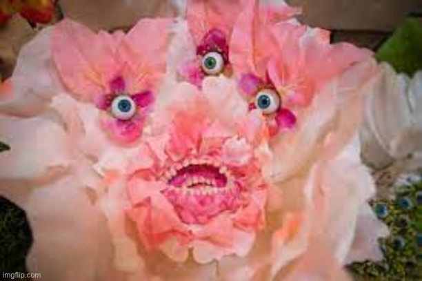 Omega Mart Flower | image tagged in omega mart flower | made w/ Imgflip meme maker