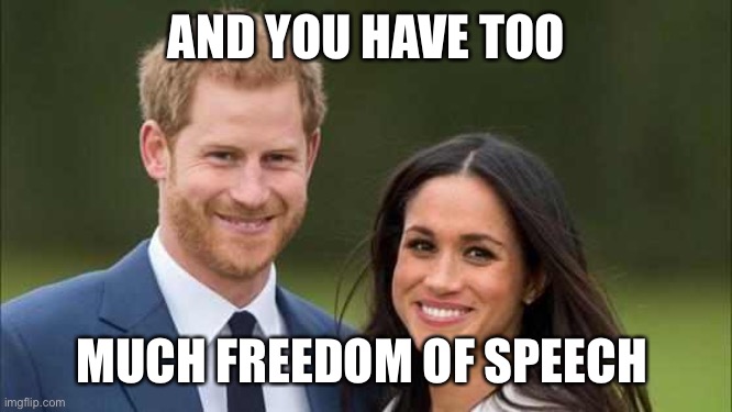 Prince Harry | AND YOU HAVE TOO MUCH FREEDOM OF SPEECH | image tagged in prince harry | made w/ Imgflip meme maker