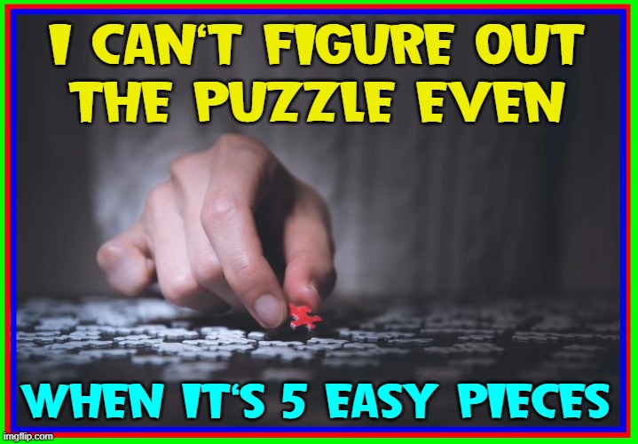 A Life is a Terrible Thing to Waste | I CAN'T FIGURE OUT
THE PUZZLE EVEN WHEN IT'S 5 EASY PIECES | image tagged in vince vance,puzzles,memes,5,easy,pieces | made w/ Imgflip meme maker