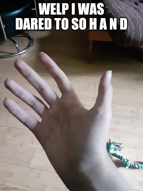 WELP I WAS DARED TO SO H A N D | made w/ Imgflip meme maker