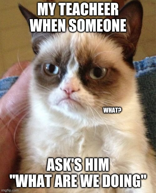 when my someone ask's my teacher "what are we doing?" | MY TEACHEER WHEN SOMEONE; WHAT? ASK'S HIM "WHAT ARE WE DOING" | image tagged in memes,grumpy cat | made w/ Imgflip meme maker