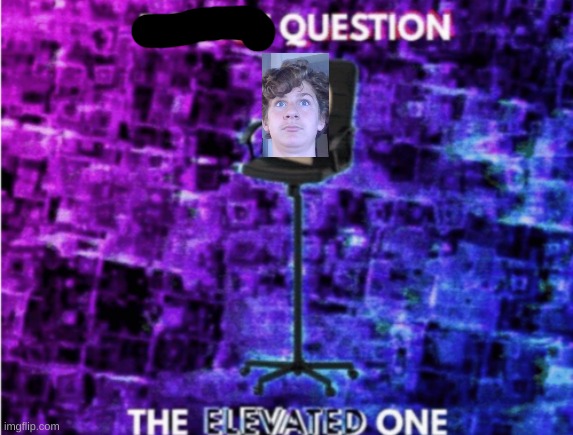 Q & A | image tagged in do it,now | made w/ Imgflip meme maker