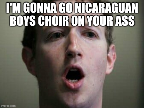 Good luck, Mark Zuck | I'M GONNA GO NICARAGUAN BOYS CHOIR ON YOUR ASS | image tagged in funny,memes,facebook,mark zuckerberg | made w/ Imgflip meme maker