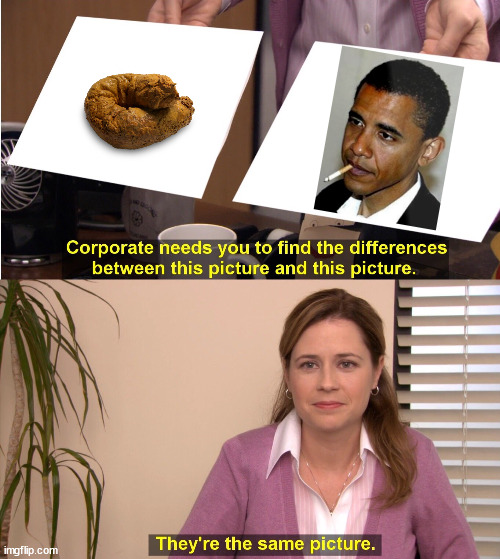 Obama POS | image tagged in memes,they're the same picture,obama | made w/ Imgflip meme maker