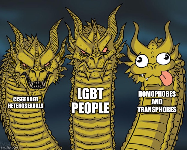 Three-headed Dragon | LGBT PEOPLE; HOMOPHOBES AND TRANSPHOBES; CISGENDER HETEROSEXUALS | image tagged in three-headed dragon | made w/ Imgflip meme maker