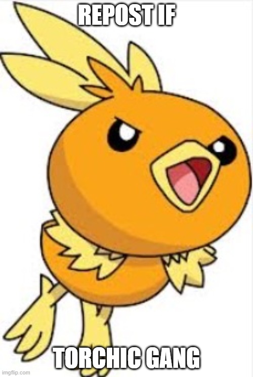 Torchic | REPOST IF; TORCHIC GANG | image tagged in torchic | made w/ Imgflip meme maker