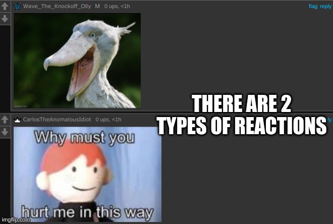 THERE ARE 2 TYPES OF REACTIONS | made w/ Imgflip meme maker