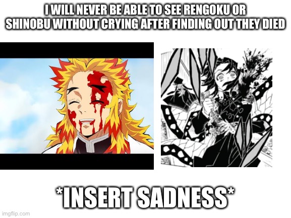 Nobody will be happy after this. Rip Shinobu and Rengoku. *not technically suicide but very sad) | I WILL NEVER BE ABLE TO SEE RENGOKU OR SHINOBU WITHOUT CRYING AFTER FINDING OUT THEY DIED; *INSERT SADNESS* | image tagged in sad | made w/ Imgflip meme maker