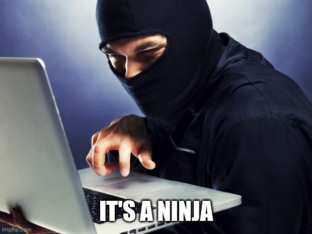 Ninja | IT'S A NINJA | image tagged in ninja | made w/ Imgflip meme maker