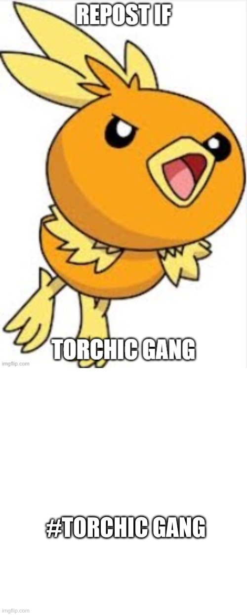 #Torchicgang | #TORCHIC GANG | image tagged in memes,blank transparent square | made w/ Imgflip meme maker