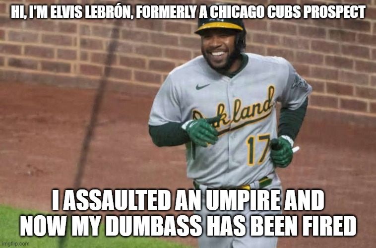 Elvis Lebrón | HI, I'M ELVIS LEBRÓN, FORMERLY A CHICAGO CUBS PROSPECT; I ASSAULTED AN UMPIRE AND NOW MY DUMBASS HAS BEEN FIRED | image tagged in baseball,dumbass,assault,you're fired,crybaby | made w/ Imgflip meme maker