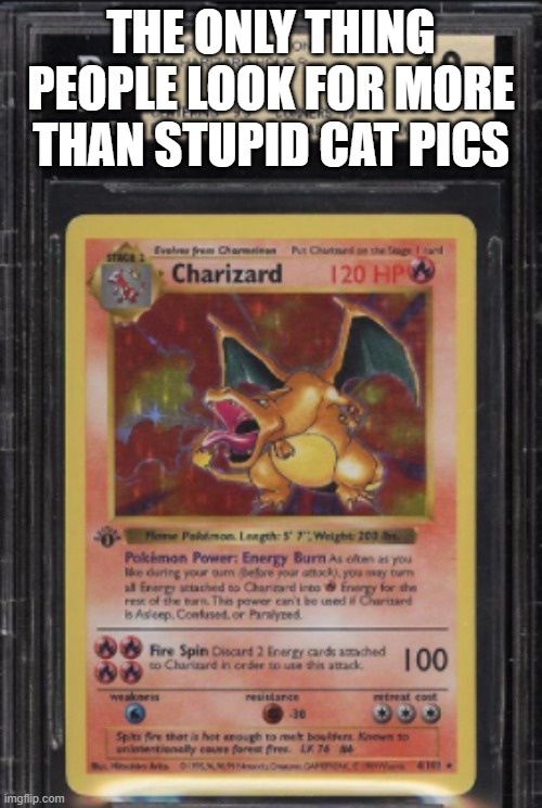 Rarest thing in 2020 | THE ONLY THING PEOPLE LOOK FOR MORE THAN STUPID CAT PICS | image tagged in pokemon | made w/ Imgflip meme maker